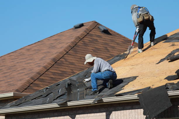 Best Roof Inspection  in Durant, MS