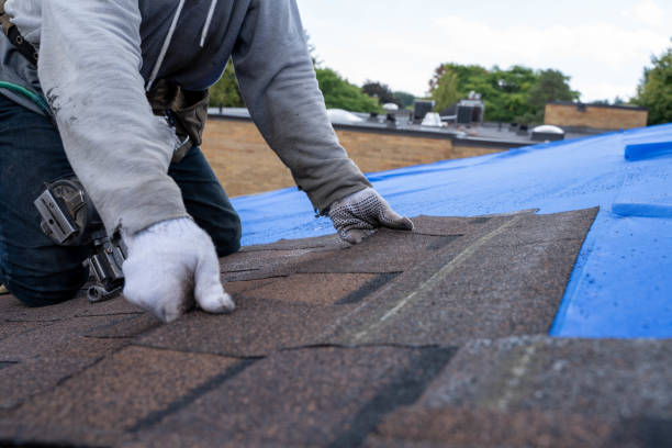 Best Green or Eco-Friendly Roofing Solutions  in Durant, MS