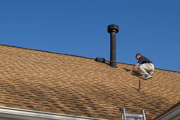 Best Asphalt Shingle Roofing  in Durant, MS